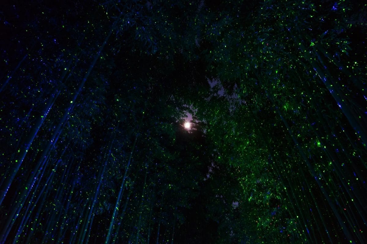 星降る森の魔法市公式サイト