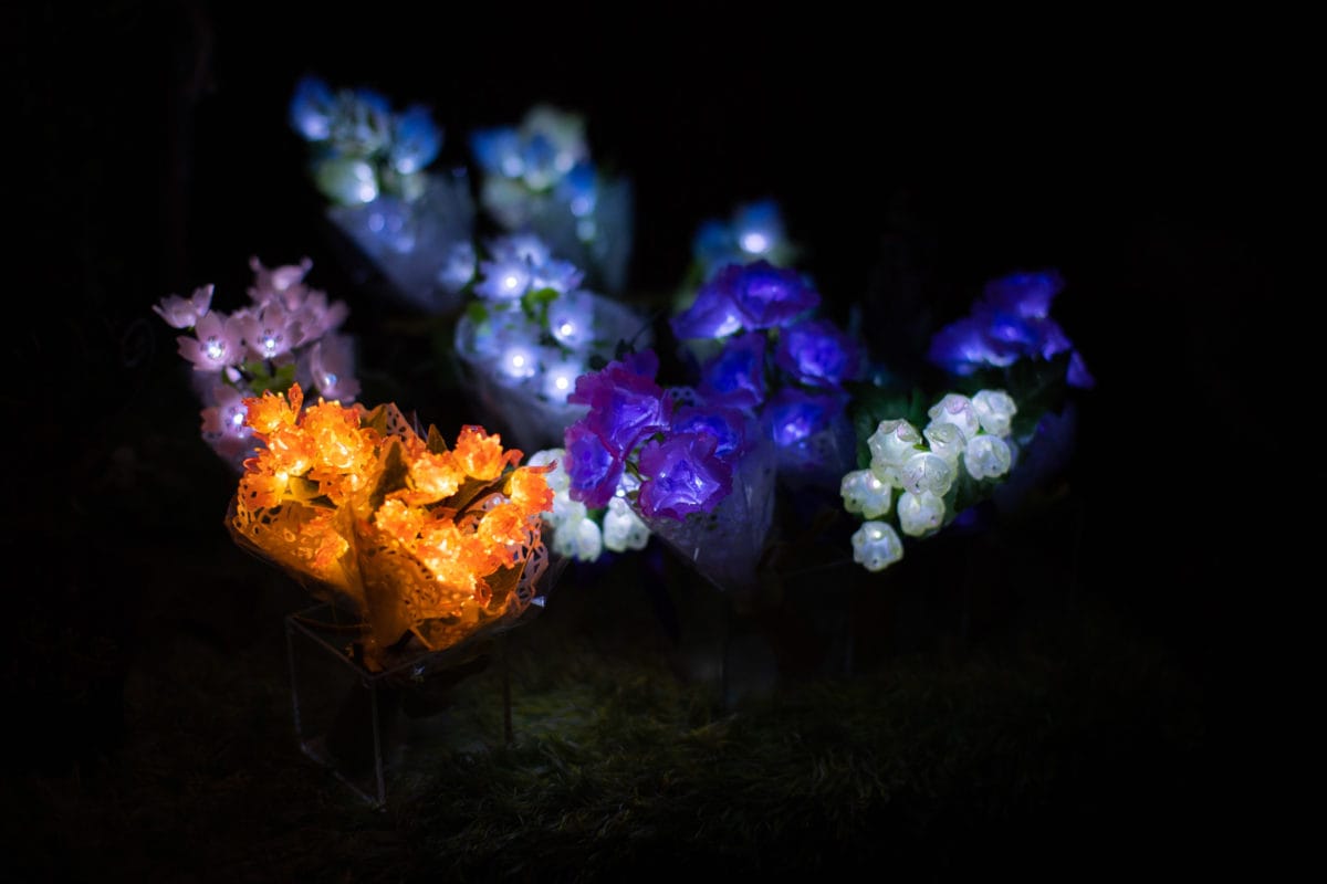 星降る森の魔法市公式サイト