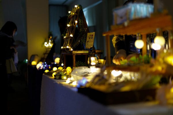 IMG 7233