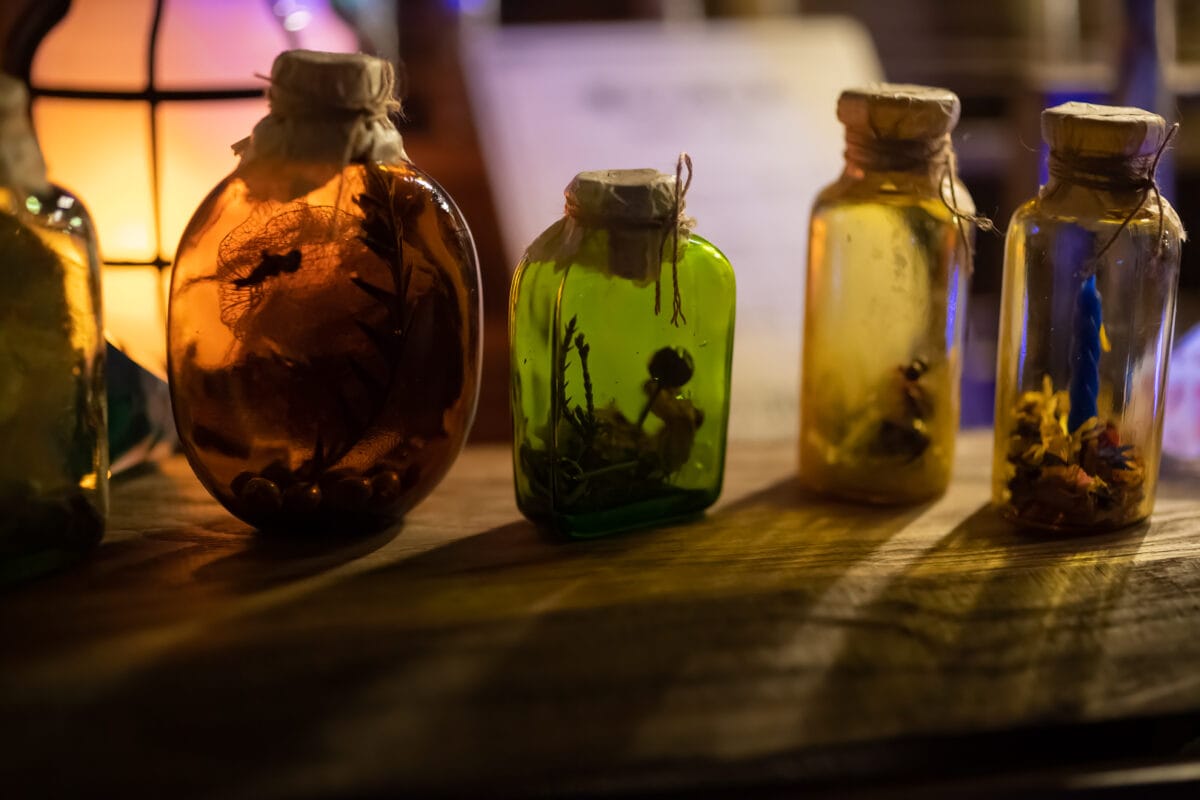 星降る森の魔法市公式サイト