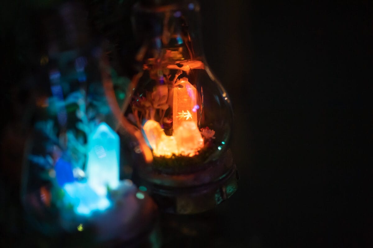 星降る森の魔法市公式サイト