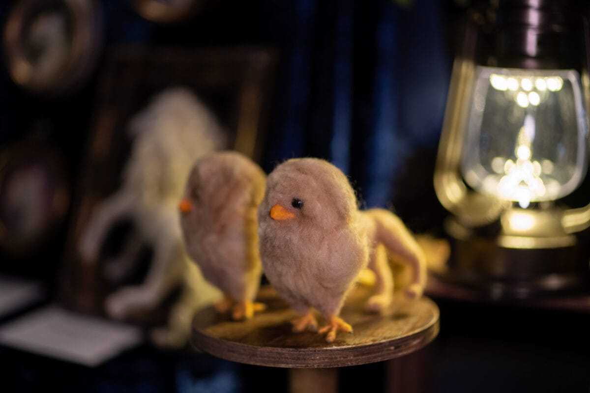 星降る森の魔法市公式サイト