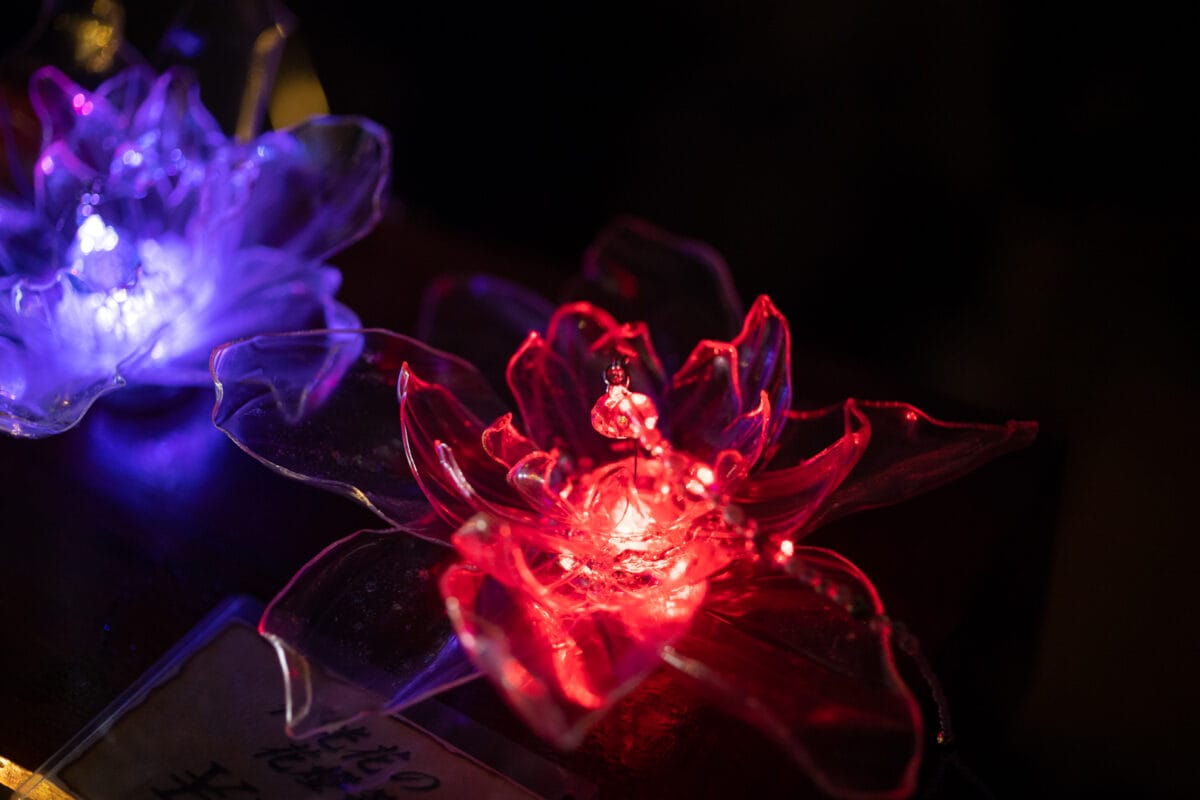 星降る森の魔法市公式サイト