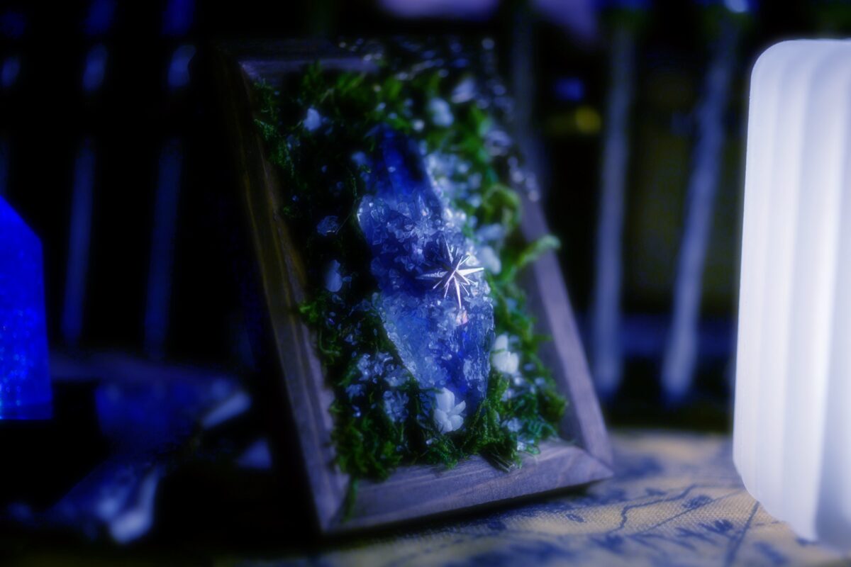 星降る森の魔法市公式サイト