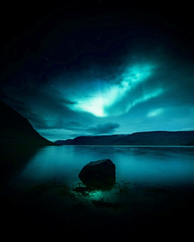 星降る森の魔法市公式サイト