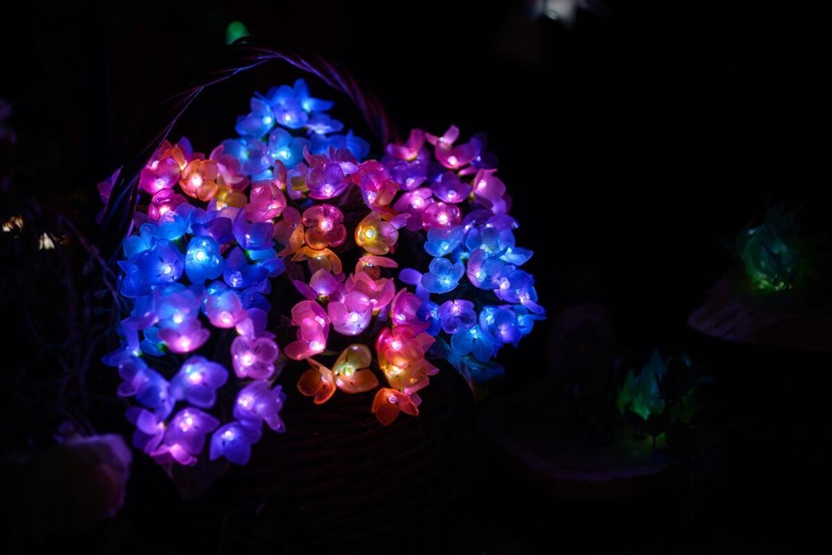 星降る森の魔法市公式サイト