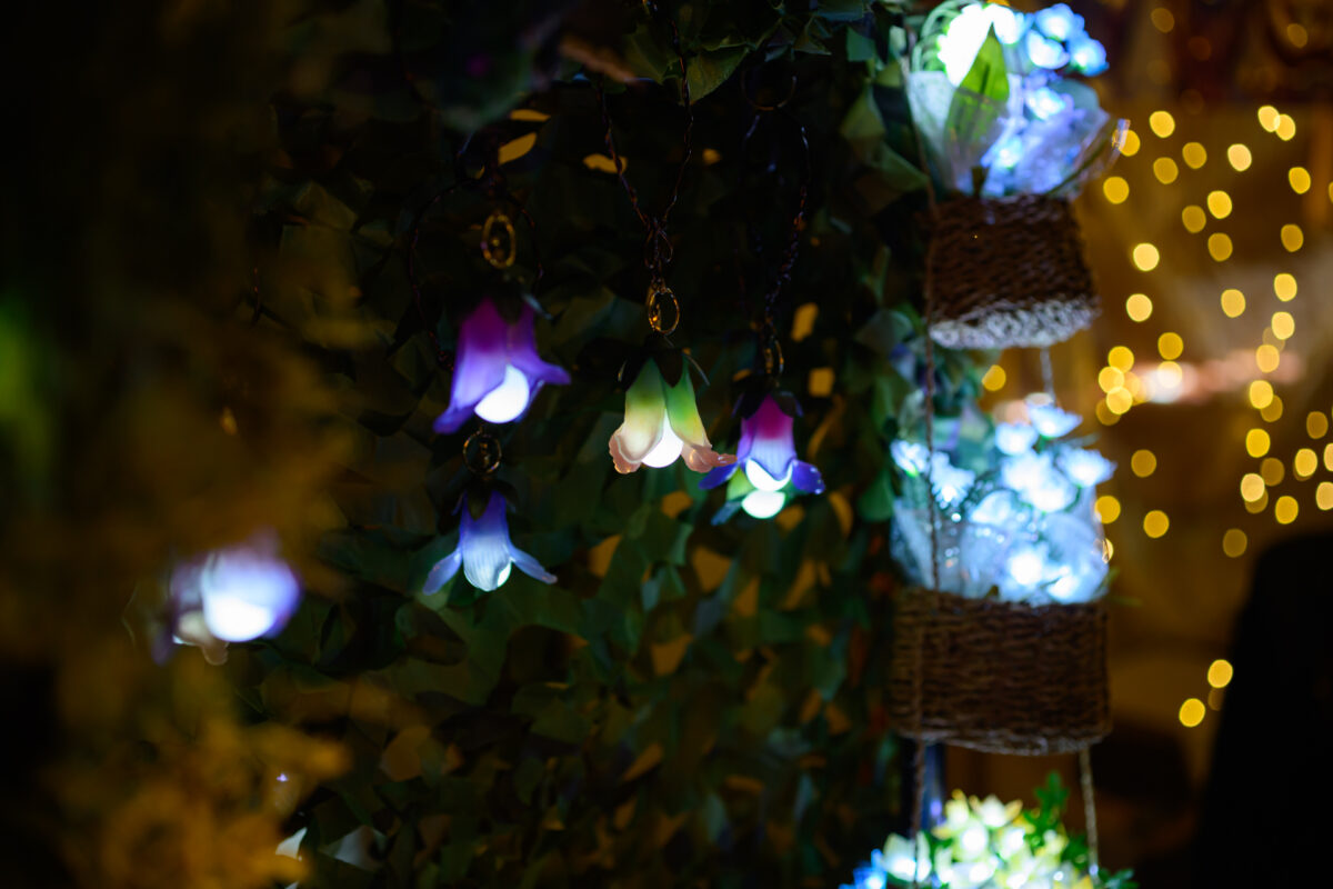 星降る森の魔法市公式サイト