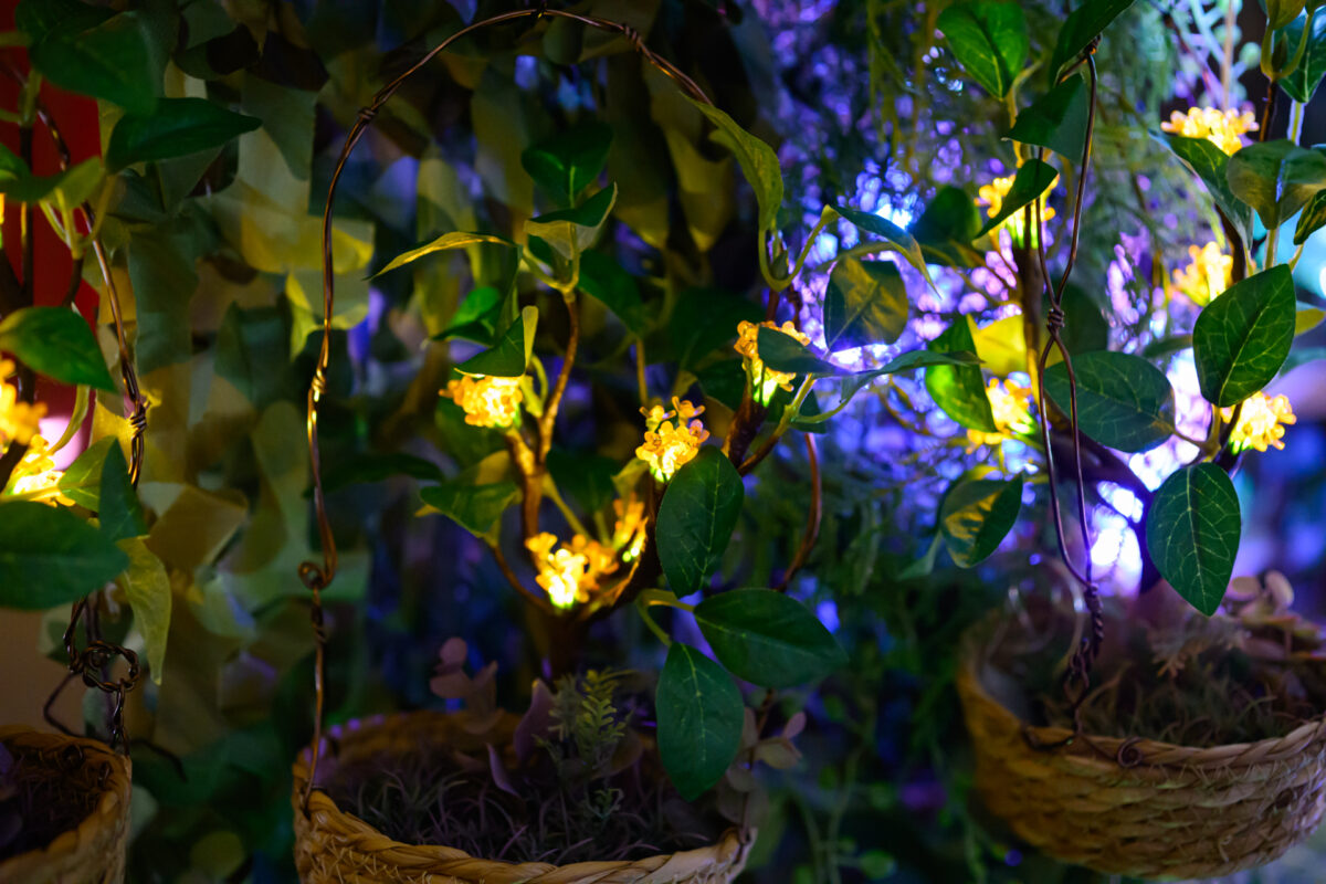 星降る森の魔法市公式サイト