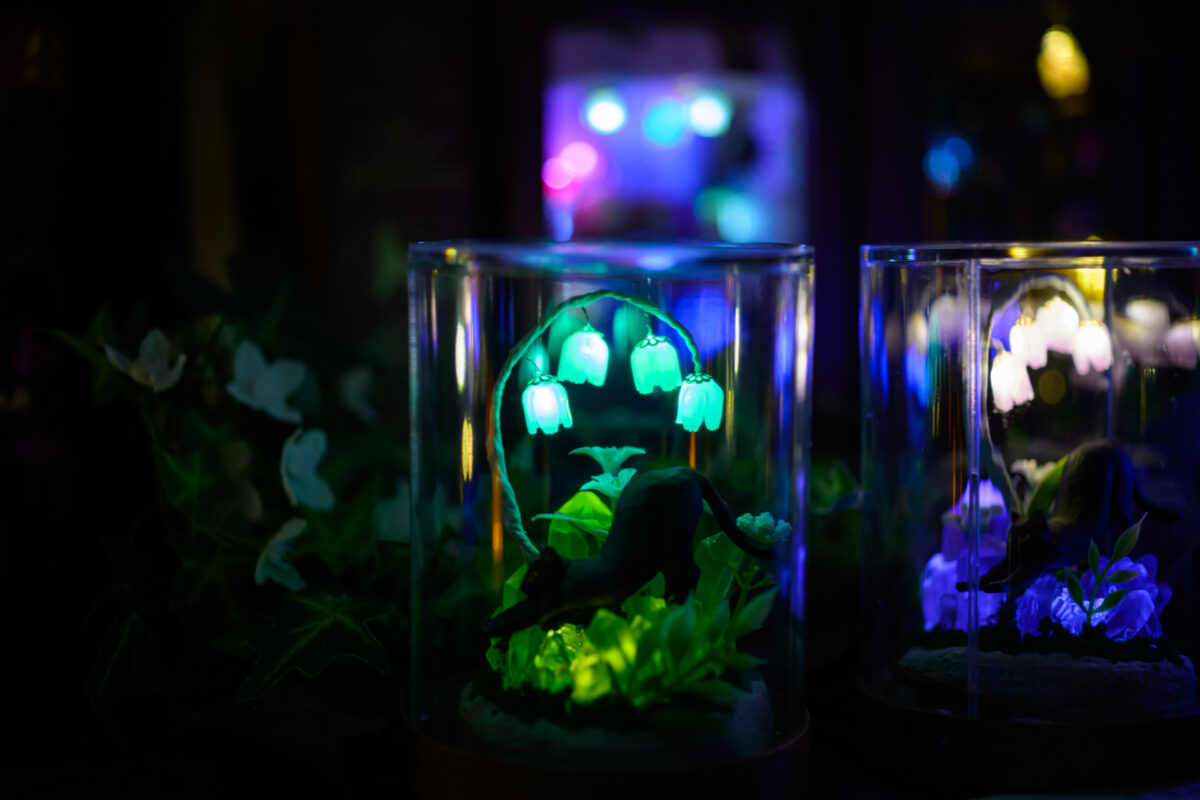 星降る森の魔法市公式サイト