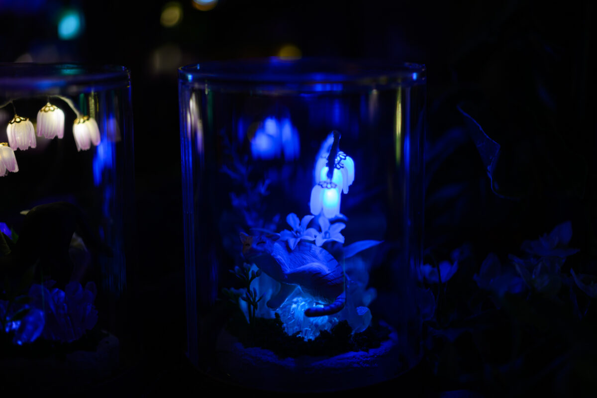 星降る森の魔法市公式サイト