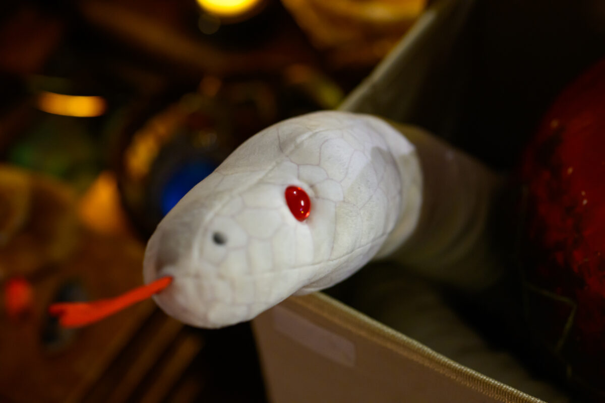 星降る森の魔法市公式サイト