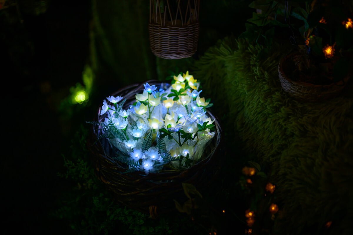 星降る森の魔法市公式サイト