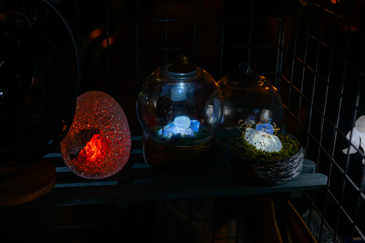 星降る森の魔法市公式サイト