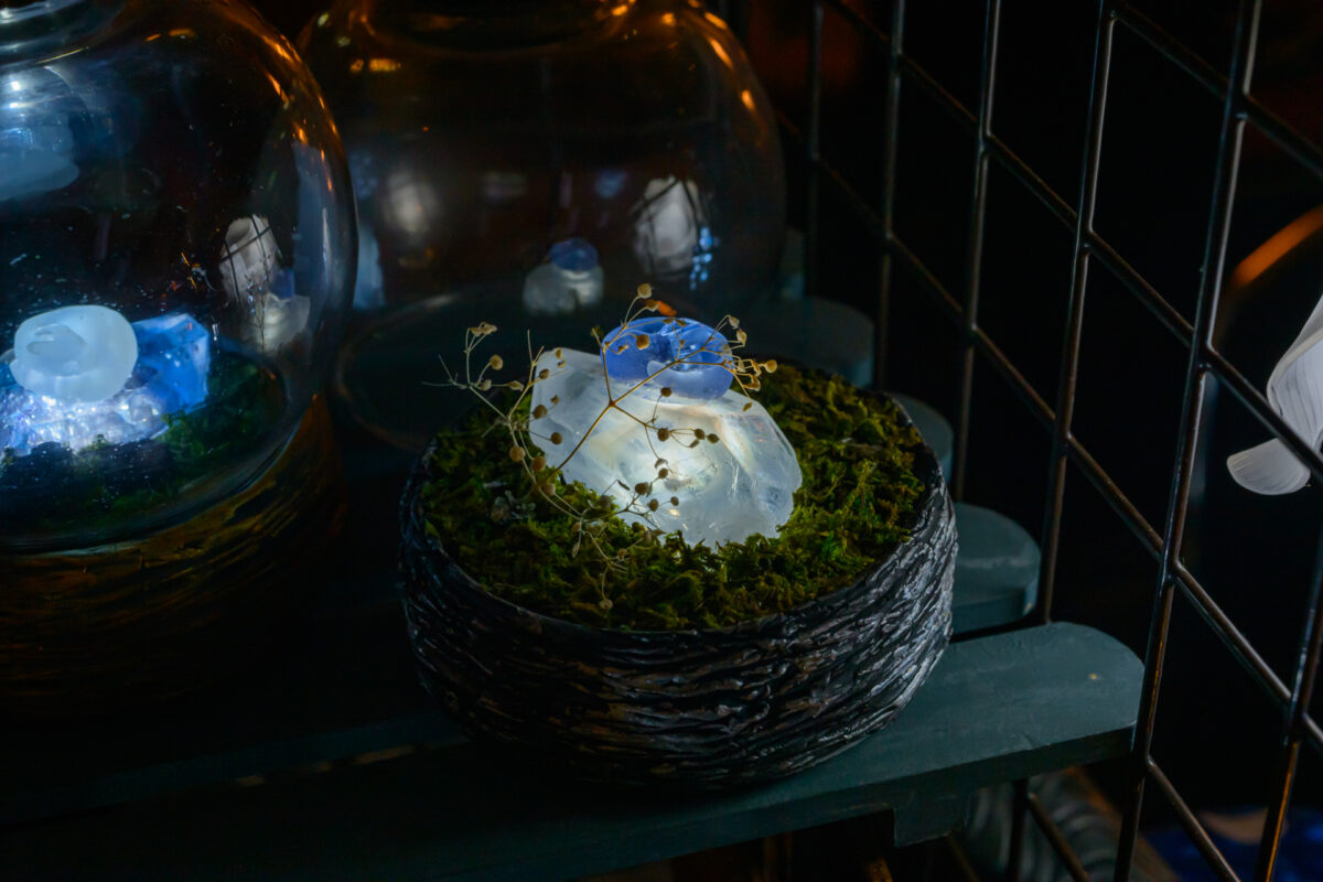 星降る森の魔法市公式サイト