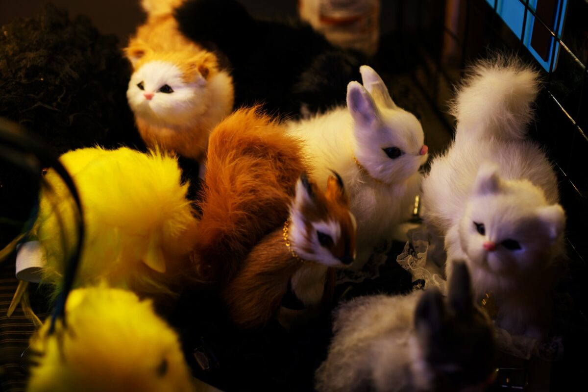 星降る森の魔法市公式サイト