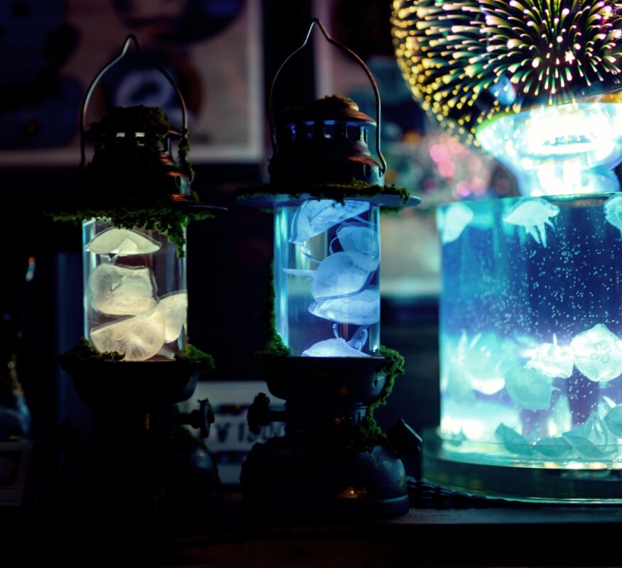 星降る森の魔法市公式サイト