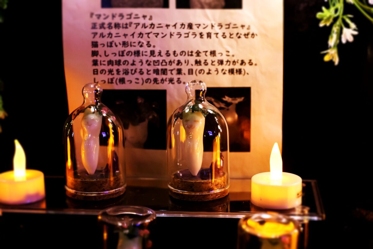 星降る森の魔法市公式サイト