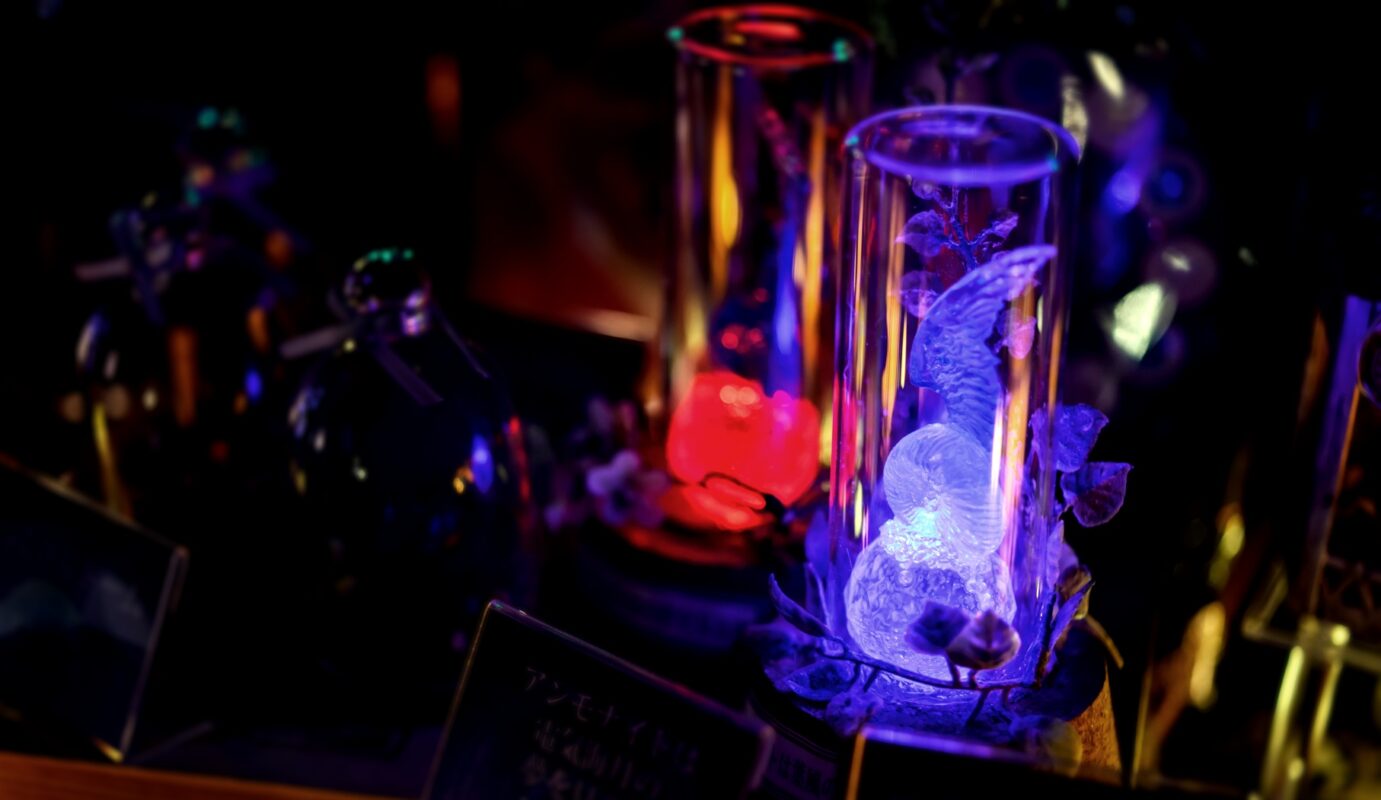 星降る森の魔法市公式サイト