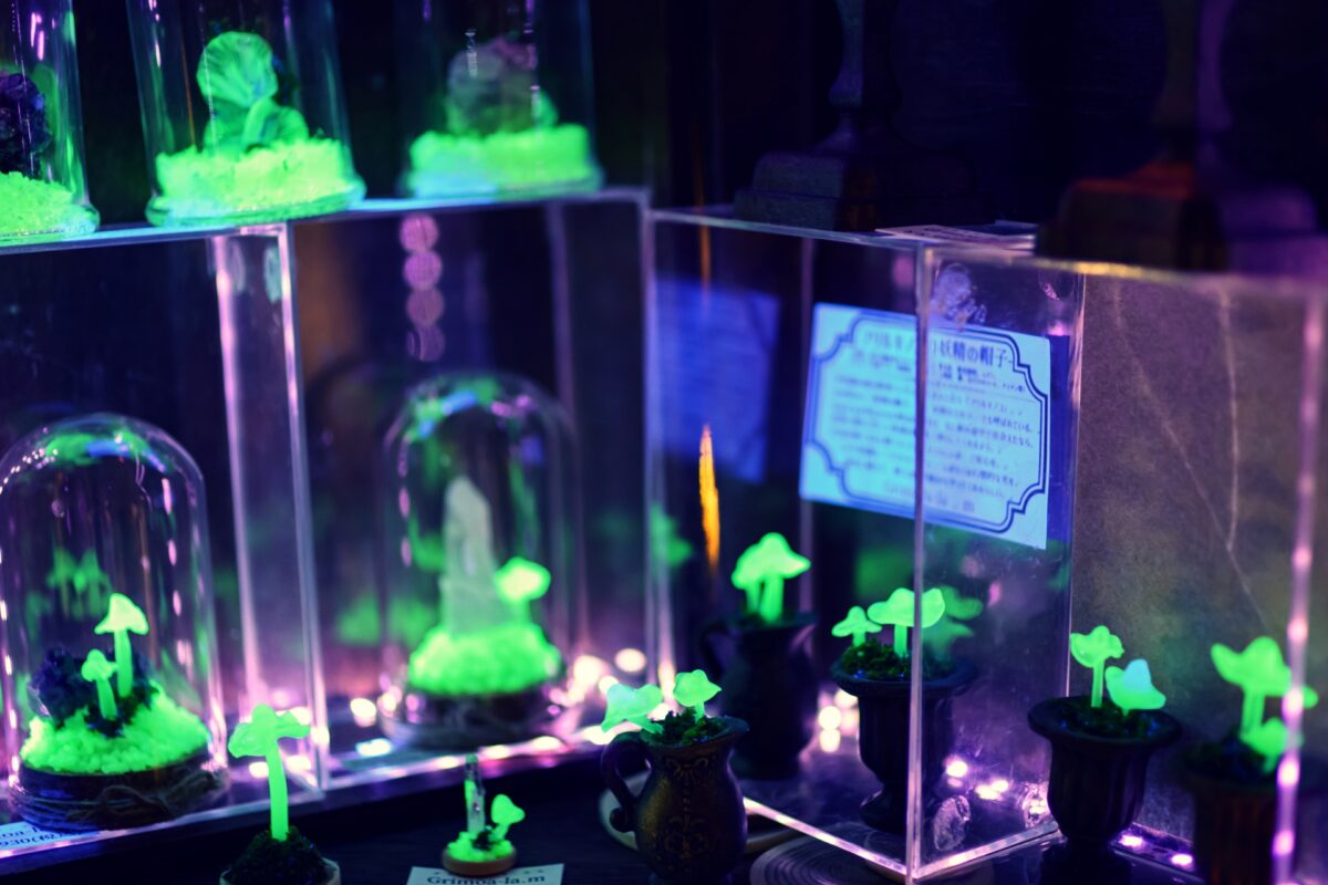 星降る森の魔法市公式サイト