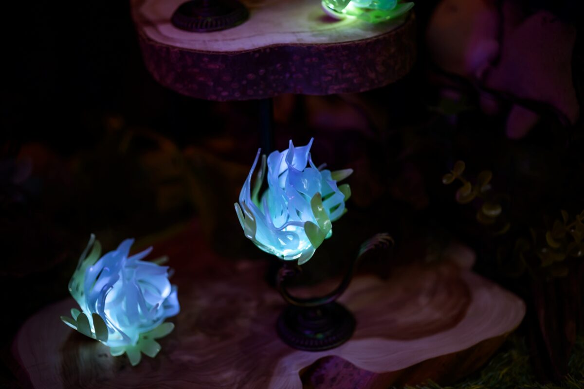 星降る森の魔法市公式サイト