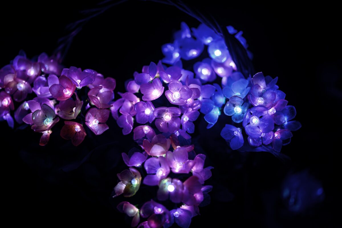 星降る森の魔法市公式サイト