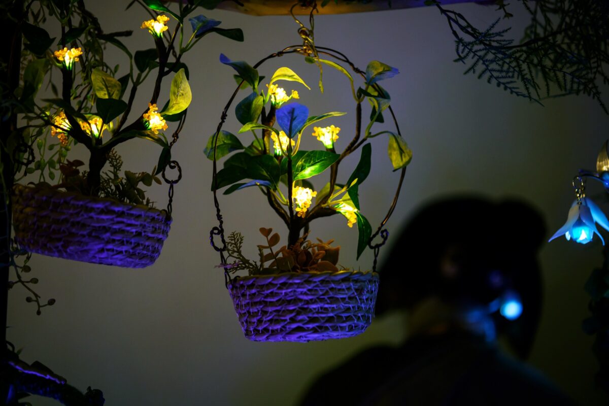 星降る森の魔法市公式サイト