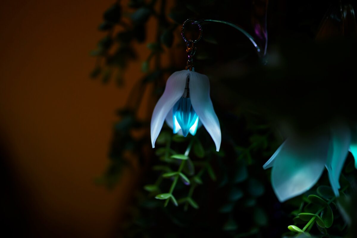 星降る森の魔法市公式サイト