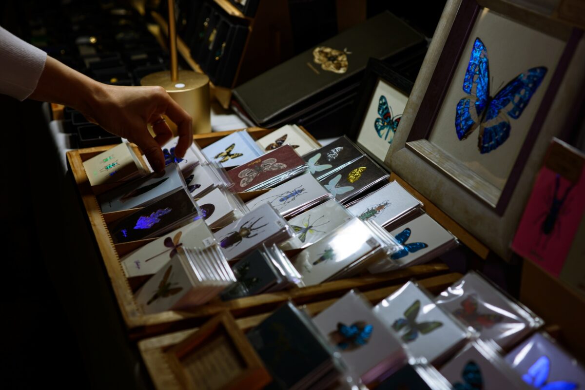 星降る森の魔法市公式サイト