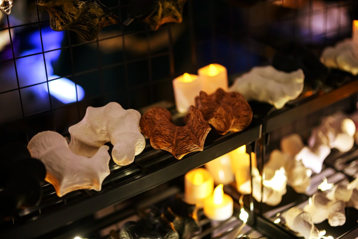 星降る森の魔法市公式サイト