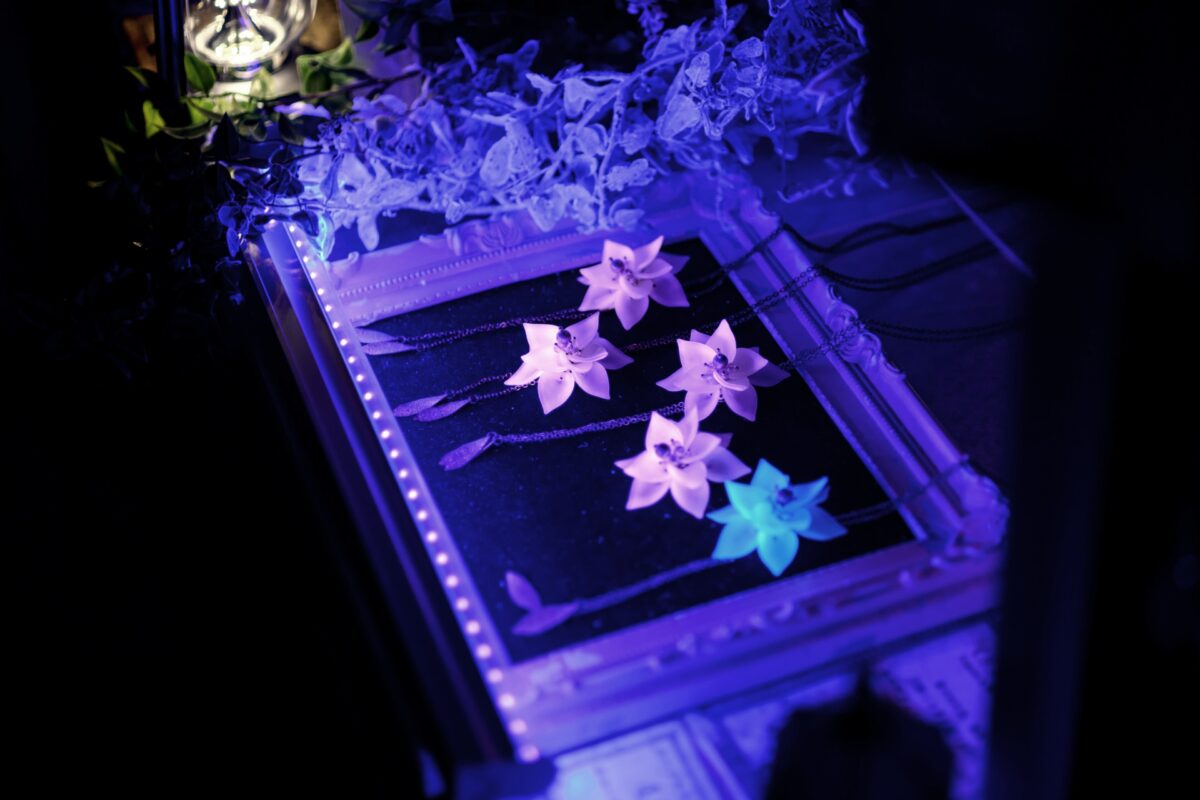 星降る森の魔法市公式サイト