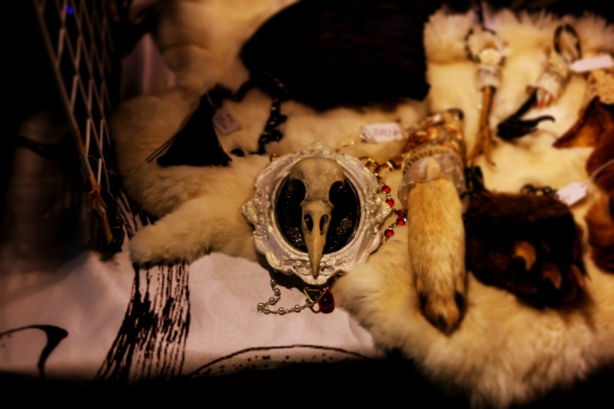 星降る森の魔法市公式サイト