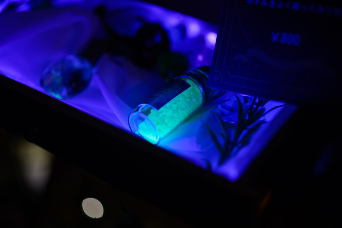 星降る森の魔法市公式サイト