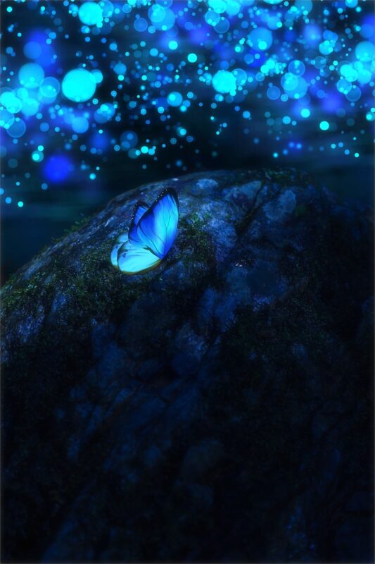 星降る森の魔法市公式サイト