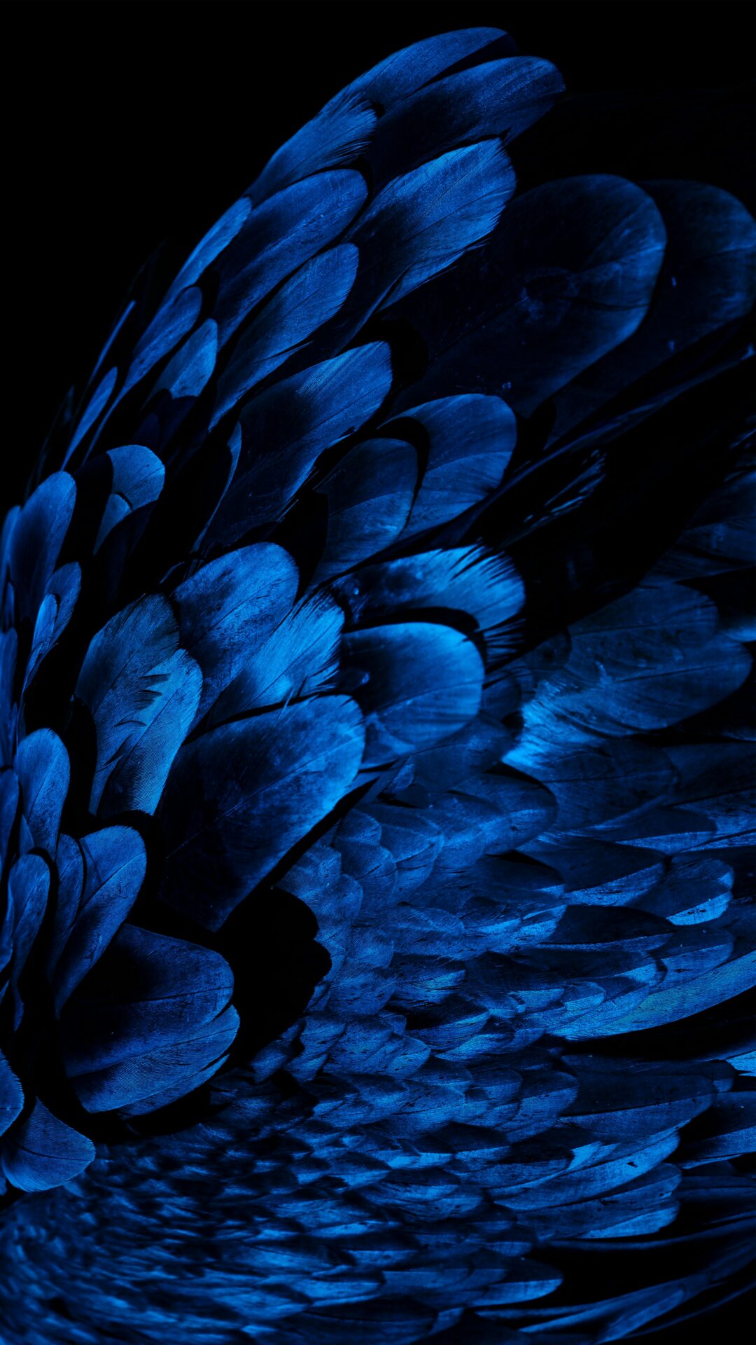 星降る森の魔法市 公式サイト 13 daniel olah YNUFtf4qyh0 unsplash